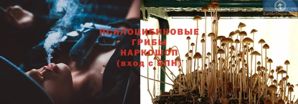скорость Няндома