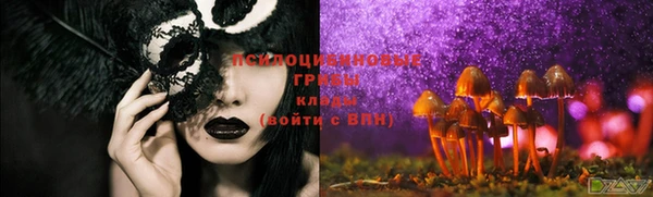 ГАЛЛЮЦИНОГЕННЫЕ ГРИБЫ Нягань