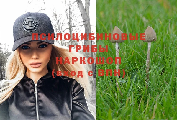 хмурый Болотное