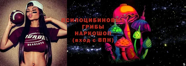 ГАЛЛЮЦИНОГЕННЫЕ ГРИБЫ Нягань