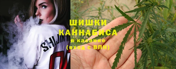 ГАЛЛЮЦИНОГЕННЫЕ ГРИБЫ Нягань