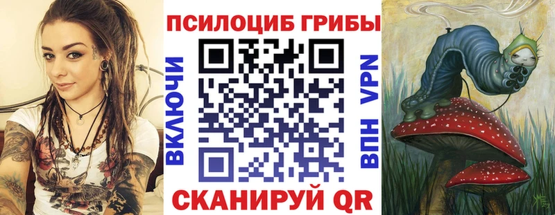 Псилоцибиновые грибы MAGIC MUSHROOMS  купить закладку  Алагир 